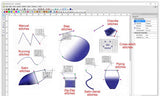 Wings Embroidery Software Level 1 - Pilot