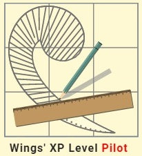 Wings Embroidery Software Level 1 - Pilot